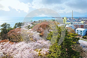 View from the top floor of Nagahama Castle in Shiga, Japan