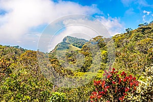 View of the top of the hill Mini Worlds End in Horton Plains National Park, Sri Lanka