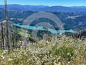 View from the top of Lake Ruth, on the horizon, mountains.