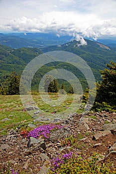 View from the Top of Marys Peak