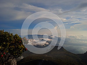 View at the top of mount Gede Pangrango