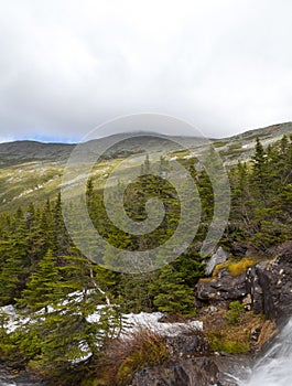 View of Top of Mount Washinton area via Ammonoosuc ravine trail