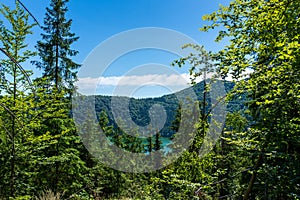 View from the top of the mountain, decideous and pine woods, Crystal clean volcanic Saint Anna lake in the background