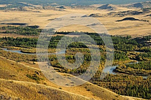 View from the top of the mountain to the autumn dry steppe and the flowing winding river with coniferous forest along the banks