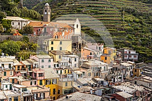 View at top part of Vernazza village With San Francesco Church. Hill slope with vineyards is at background. Cinque Terre coastal