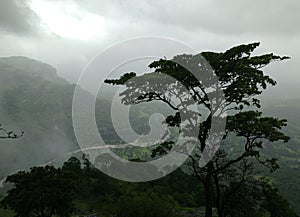 The view from the top of Sudhagad Fort