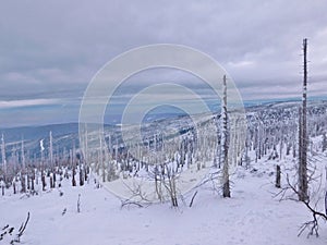view from the top of Trojmezna mountain in bohemian forest