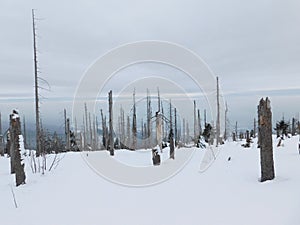 view from the top of Trojmezna mountain in bohemian forest