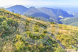 View from the top of Velky Krivan in the Mala Fatra, Slovakia