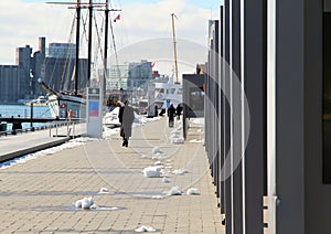 Toronto Harbourfront