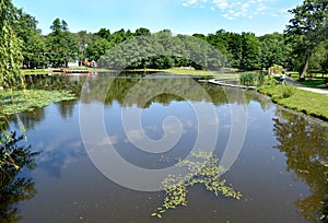 View of Tortilin pond in the city park. Zelenogradsk, Kaliningrad region