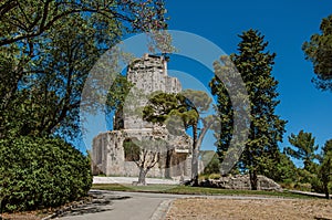 View of the Tour Magne Magna tower with blue sky, in the high part of the Gardens of the Fountain, in Nimes.