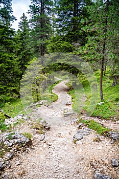 View from tourist walking in alpine forest on summer day. Hiker traveler hikking with beautiful forest landscape