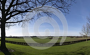 View toward Cadier and Keer in Limburg, The Netherlands with silhouette of a bare tree in a green grass field against blue sky