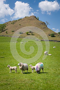 View toward Chrome Hill in Peak District