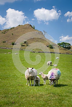 View toward Chrome Hill in Peak District