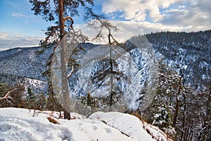 View towards canyon near Klastorisko in Slovak Paradise during winter