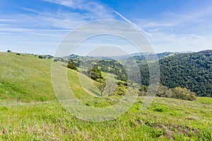 View towards Hunting Hollow valley, Henry Coe state park, California