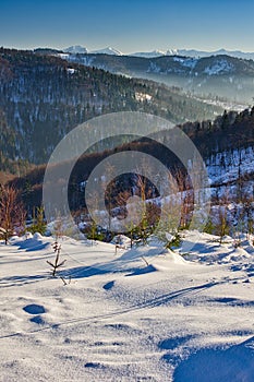 View towards Mala Fatra mountains from Velka Raca - Oscadnica ski resort