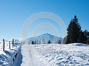 View towards mount Rigi, a famous peak in Switzerland, along a snow covered winter hiking trail.