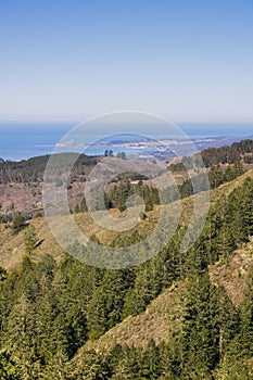 View towards the Pacific Ocean and Pillar Point Harbor from Purisima Creek Redwoods Park on a clear day, California