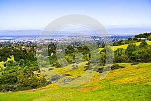 View towards Redwood City and Menlo Park; hills and valleys covered in green grass and wildflowers visible in the foreground,