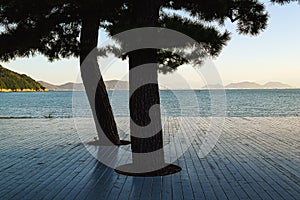 View towards the sea from the wooden deck with two pine trees on the shore of Naoshima Island  Japan.