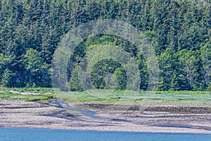 A view towards a stream on the shoreline in the Gastineau Channel on the approach to Juneau, Alaska