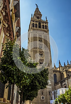 A view of the tower of the cathedral of St Mary in Seville, Spain