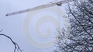 A view of a tower crane jib through the bare branches of a tree on the dusk gray sky background.