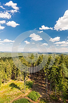 View from the tower into the landscape with trees