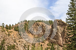 View of towering cliffs and slides with a few evergreen trees and a large evergreen tree framing the image on one side in Rocky