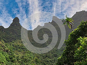 View of Towering Sea Cliffs, or Pali, Along the Kalalau Trail on the Na Pali Coast in Kapa'a