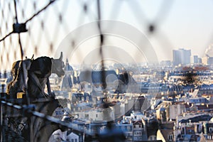 View from the towers of the Notre Dame Cathedral in Paris, France