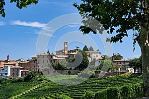 View of the town of Neive and its green vineyards