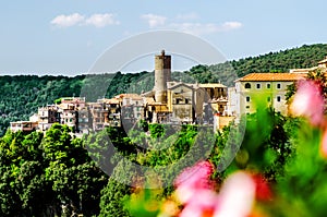 View of the town of Nemi through the flowers. The surroundings of Rome. Italy.