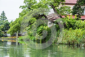 View from traditional boat tour in Yanagawa, Fukuoka, Japan