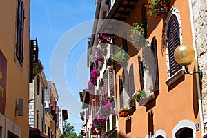 View of traditional colorful croatian buildings with flower pots in the windows, in the old town of Porec also called Parenzo,