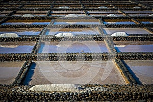 View on traditional rectangular salt evaporation ponds or salt pans creating a grid