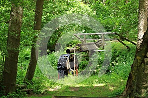 A view of traditional wooden waterwheel