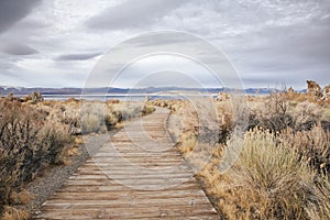 View of a Trail Leading to a Saline Soda Lake in Eastern Sierra Navada Mountains on a Cloudy Day photo
