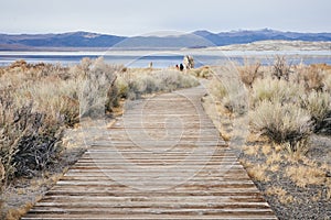 View of a Trail Leading to a Saline Soda Lake in Eastern Sierra Navada Mountains on a Cloudy Day photo