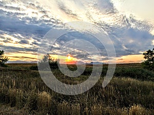 View from Trail near Josh`s Pond in Broomfield Colorado at Sunset reflecting off water, Rocky Mountains in the background