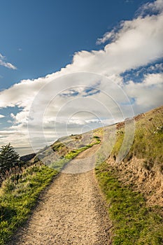 View of a trail in taylors mistake