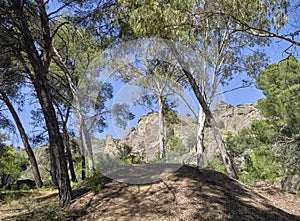 A Mountain Escarpment viewed from within a clearing in the forest of the Raja Ancha Recreation Area in Pizarra. photo