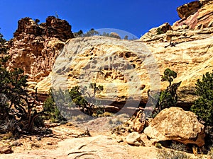 View on Trail to Hickman Bridge in Capitol Reef National Park, Utah, America, USA