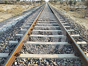 View of the train tracks in the middle of the forest outside the city