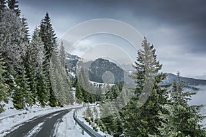 View from Transbucegi road