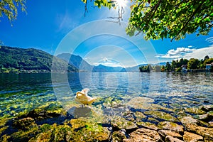 View of Traunsee and the surrounding landscape. Idyllic nature by the lake in Styria