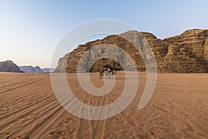 A view of travellers at sunrise in the desert landscape in Wadi Rum, Jordan